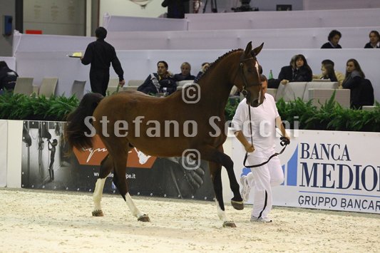 NADA BRAUN_MILANO_2010_SS3_4020.jpg